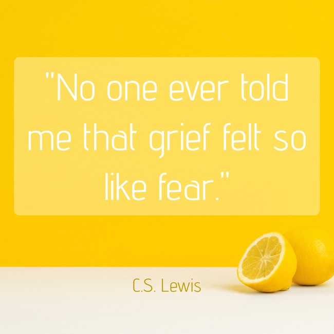 No one ever told me that grief felt so like fear. - C.S. Lewis