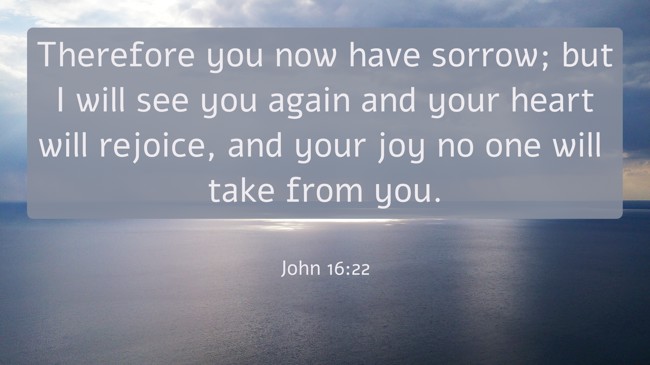 Therefore you now have sorrow; but I will see you again and your heart will rejoice, and your joy no one will take from you. - John 16:22