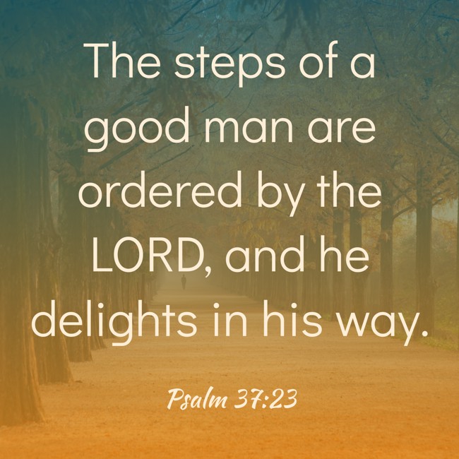 The steps of a good man are ordered by the LORD, and he delights in his way. - Psalm 37:23