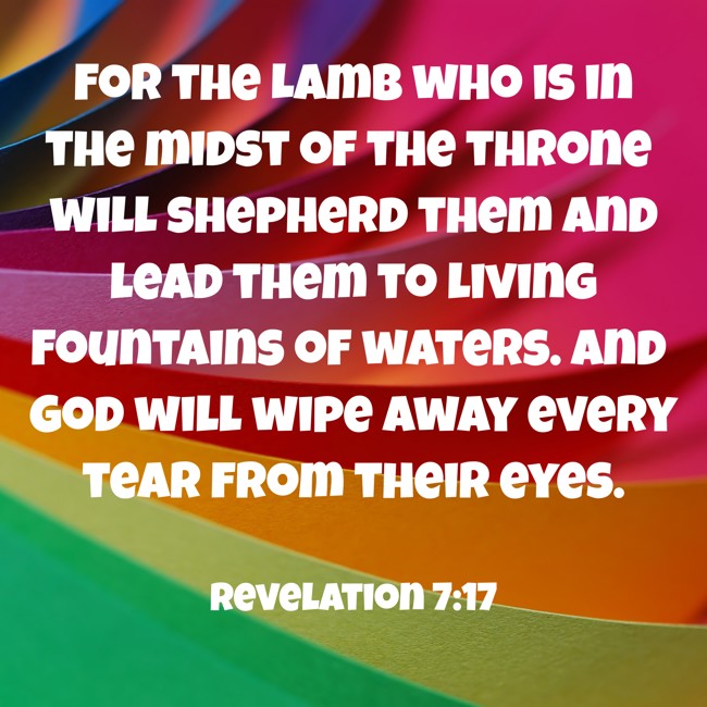 For the Lamb who is in the midst of the throne will shepherd them and lead them to living fountains of waters. And God will wipe away every tear from their eyes. - Revelation 7:17