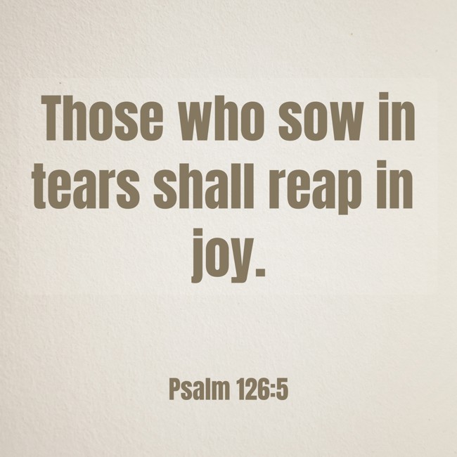 Those who sow in tears shall reap in joy. - Psalm 126:5