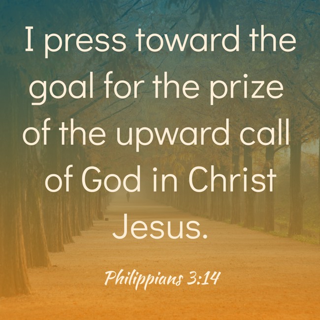 I press toward the goal for the prize of the upward call of God in Christ Jesus. - Philippians 3:14