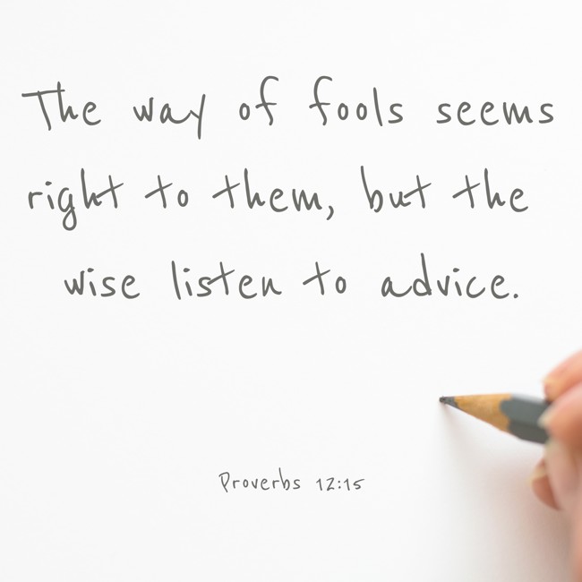 The way of fools seems right to them, but the wise listen to advice. - Proverbs 12:15