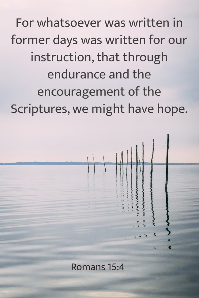 For whatsoever was written in former days was written for our instruction, that through endurance and the encouragement of the Scriptures, we might have hope. - Romans 15:4