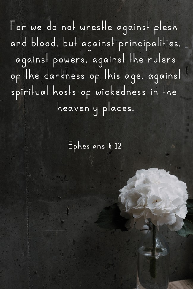 For we do not wrestle against flesh and blood, but against principalities, against powers, against the rulers of the darkness of this age, against spiritual hosts of wickedness in the heavenly places. - Ephesians 6:12