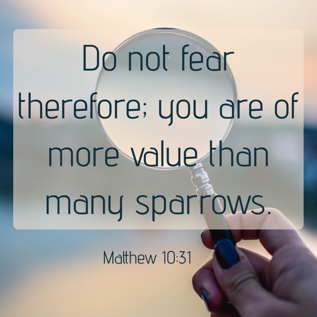 Do not fear therefore; you are of more value than many sparrows. - Matthew 10:31