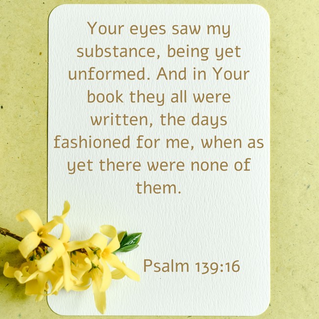 Your eyes saw my substance, being yet unformed. And in Your book they all were written, the days fashioned for me, when as yet there were none of them. - Psalm 139:16