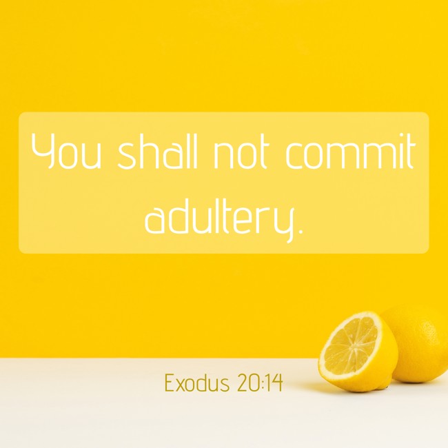 You shall not commit adultery. - Exodus 20:14