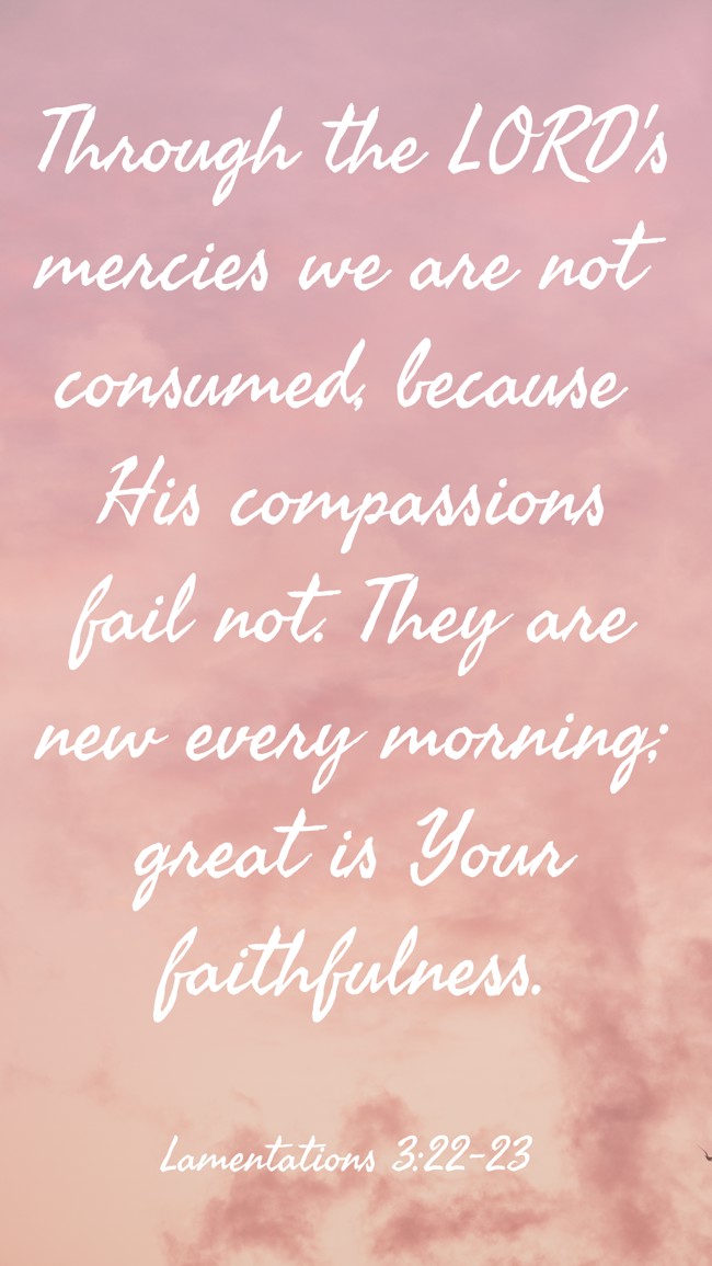 Through the LORD's mercies we are not consumed, because His compassions fail not. They are new every morning; great is Your faithfulness. - Lamentations 3:22-23