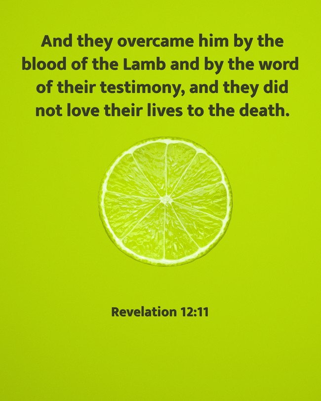 And they overcame him by the blood of the Lamb and by the word of their testimony, and they did not love their lives to the death. - Revelation 12:11