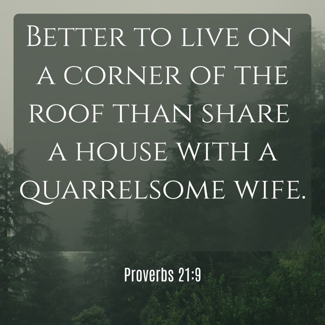  Better to live on a corner of the roof than share a house with a quarrelsome wife.   - Proverbs 21:9 