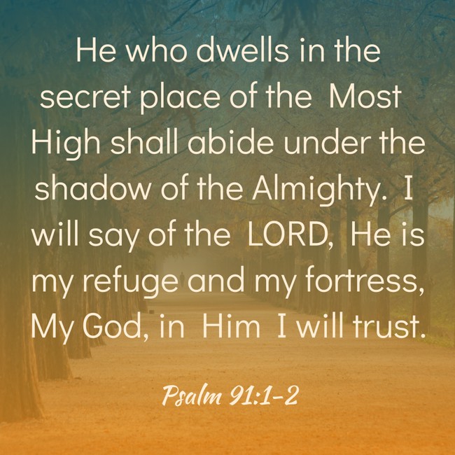 He who dwells in the secret place of the Most High shall abide under the shadow of the Almighty. I will say of the LORD, He is my refuge and my fortress, My God, in Him I will trust. - Psalm 91:1-2