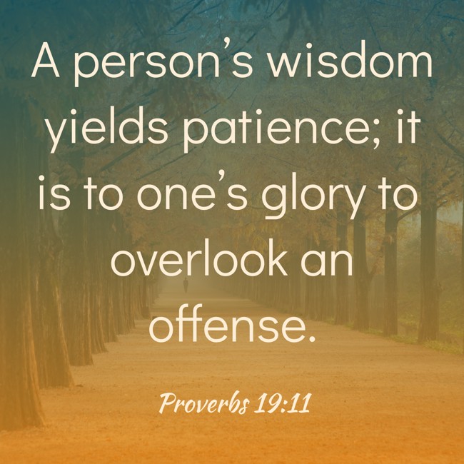  A person’s wisdom yields patience; it is to one’s glory to overlook an offense.   - Proverbs 19:11 
