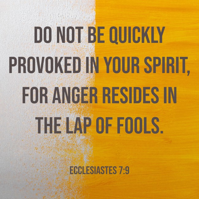  Do not be quickly provoked in your spirit, for anger resides in the lap of fools.   - Ecclesiastes 7:9 