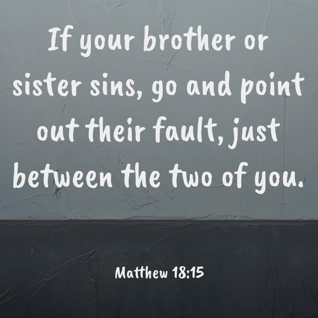  If your brother or sister sins, go and point out their fault, just between the two of you.   - Matthew 18:15 