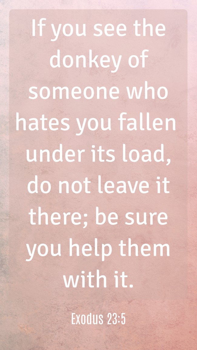 If you see the donkey of someone who hates you fallen under its load, do not leave it there; be sure you help them with it. - Exodus 23:5