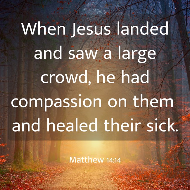 When Jesus landed and saw a large crowd, he had compassion on them and healed their sick. - Matthew 14:14