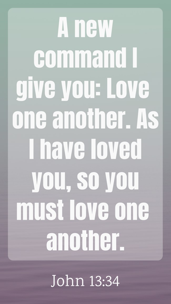 A new command I give you: Love one another. As I have loved you, so you must love one another. - John 13:34