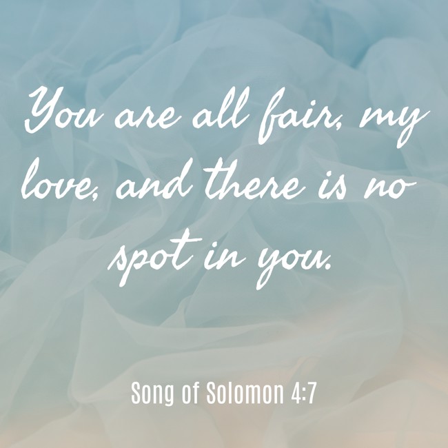You are all fair, my love, and there is no spot in you. - Song of Solomon 4:7