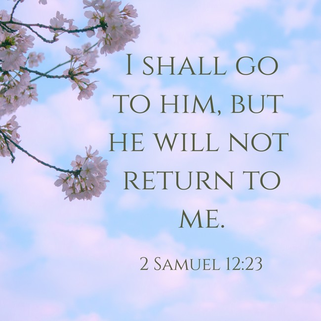 I shall go to him, but he will not return to me. - 2 Samuel 12:23