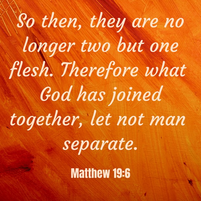 So then, they are no longer two but one flesh. Therefore what God has joined together, let not man separate. - Matthew 19:6