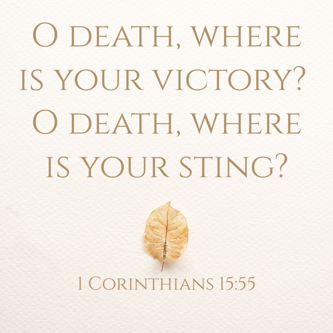O death, where is your victory? O death, where is your sting? - 1 Corinthians 15:55