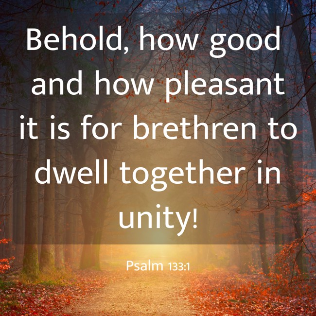 Behold, how good and how pleasant it is for brethren to dwell together in unity! - Psalm 133:1