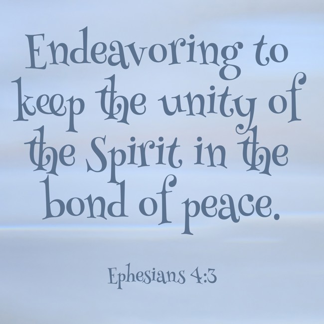 Endeavoring to keep the unity of the Spirit in the bond of peace. - Ephesians 4:3