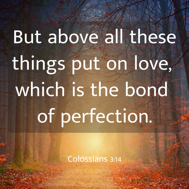 But above all these things put on love, which is the bond of perfection. - Colossians 3:14