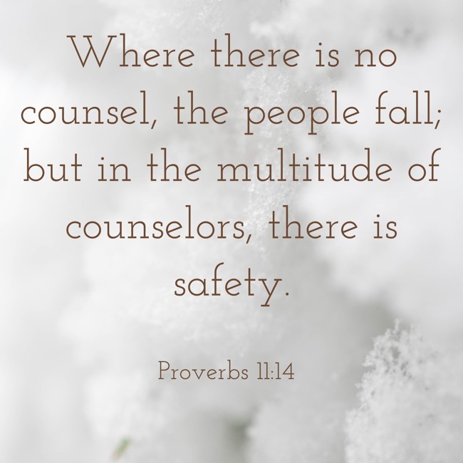 Where there is no counsel, the people fall; but in the multitude of counselors, there is safety. - Proverbs 11:14