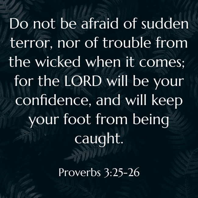 Do not be afraid of sudden terror, nor of trouble from the wicked when it comes; for the LORD will be your confidence, and will keep your foot from being caught. - Proverbs 3:25-26