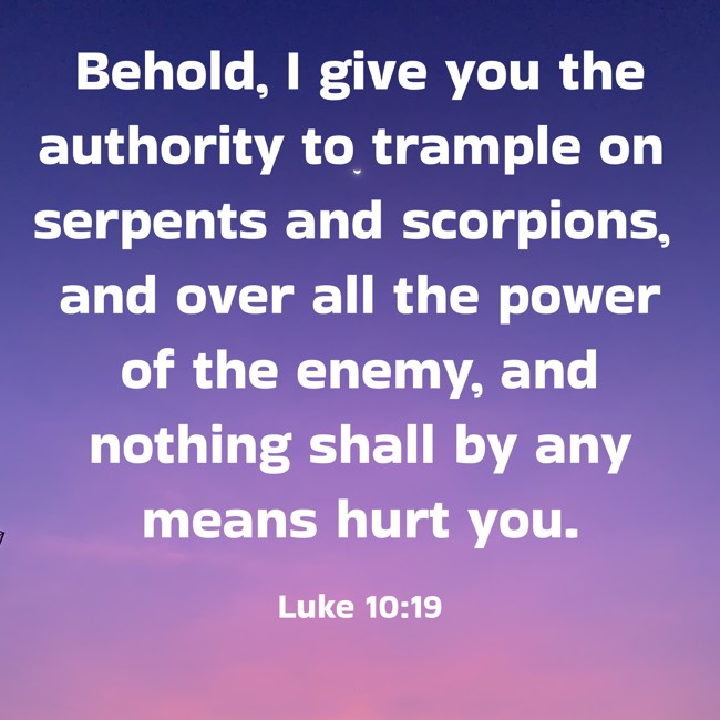 Behold, I give you the authority to trample on serpents and scorpions, and over all the power of the enemy, and nothing shall by any means hurt you. - Luke 10:19
