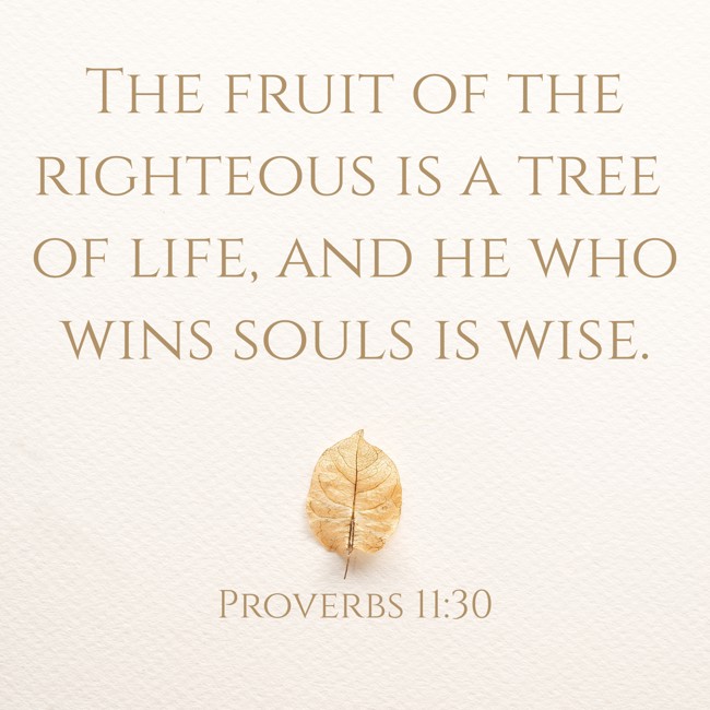 The fruit of the righteous is a tree of life, and he who wins souls is wise. - Proverbs 11:30