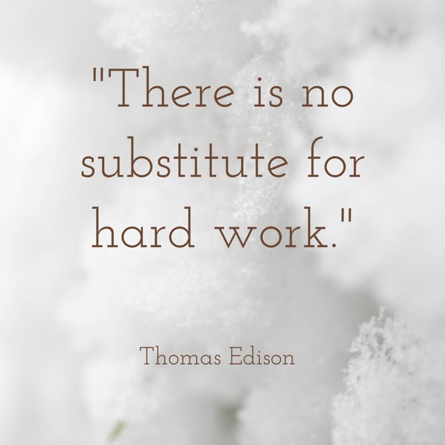 There is no substitute for hard work. - Thomas Edison