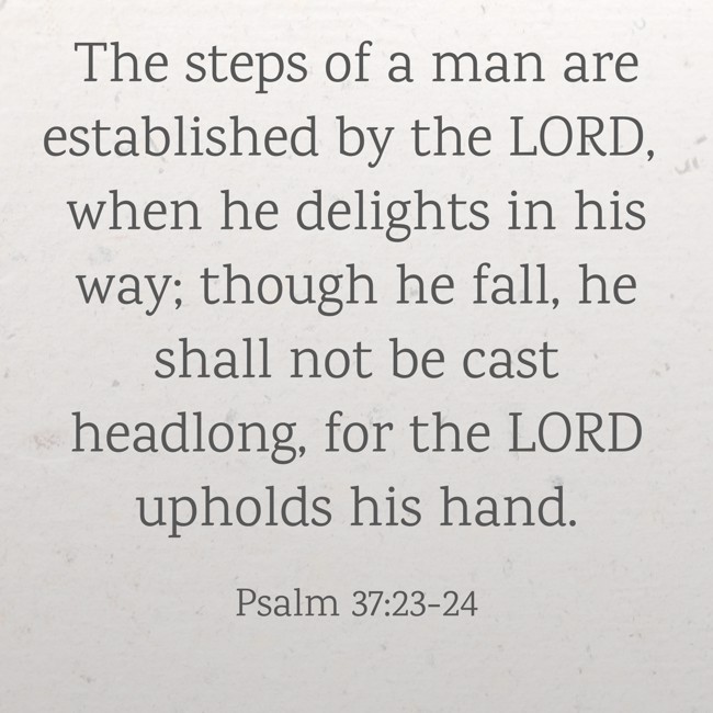 The steps of a man are established by the LORD, when he delights in his way; though he fall, he shall not be cast headlong, for the LORD upholds his hand. - Psalm 37:23-24