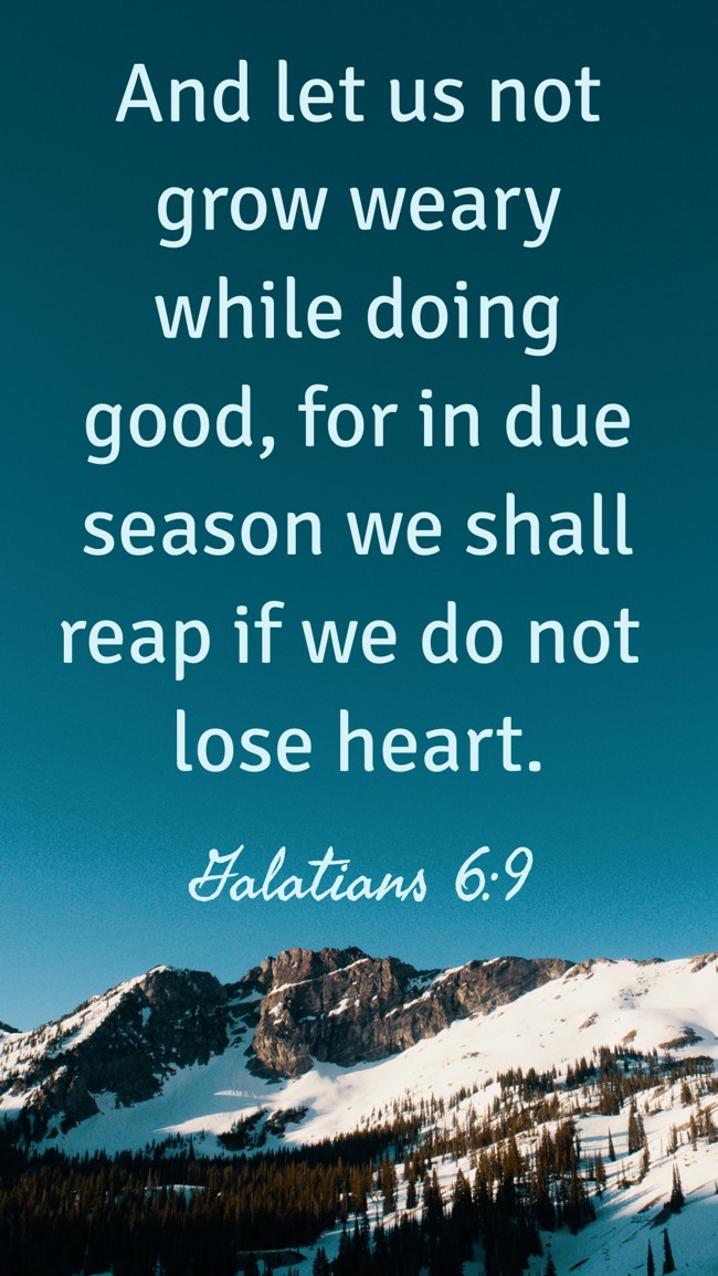 And let us not grow weary while doing good, for in due season we shall reap if we do not lose heart. - Galatians 6:9