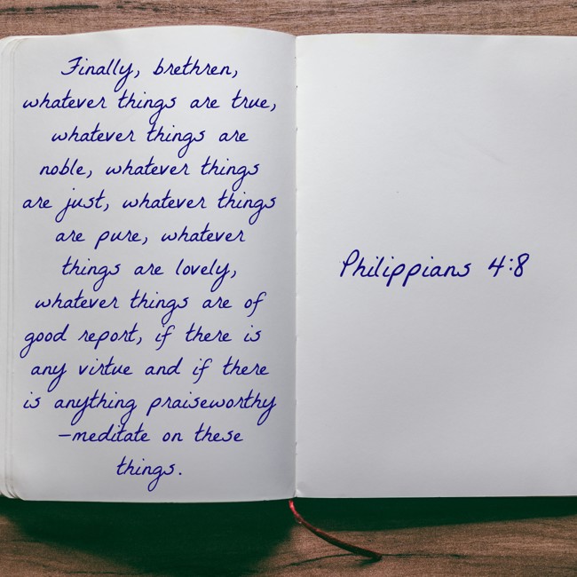 Finally, brethren, whatever things are true, whatever things are noble, whatever things are just, whatever things are pure, whatever things are lovely, whatever things are of good report, if there is any virtue and if there is anything praiseworthy—meditate on these things. - Philippians 4:8