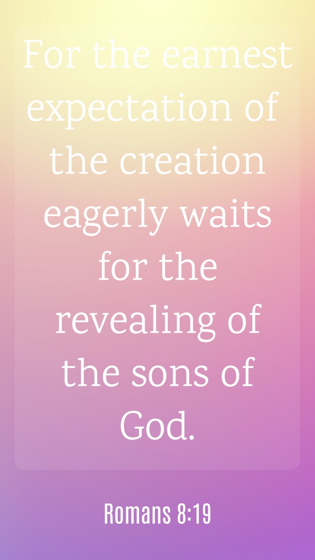For the earnest expectation of the creation eagerly waits for the revealing of the sons of God. - Romans 8:19