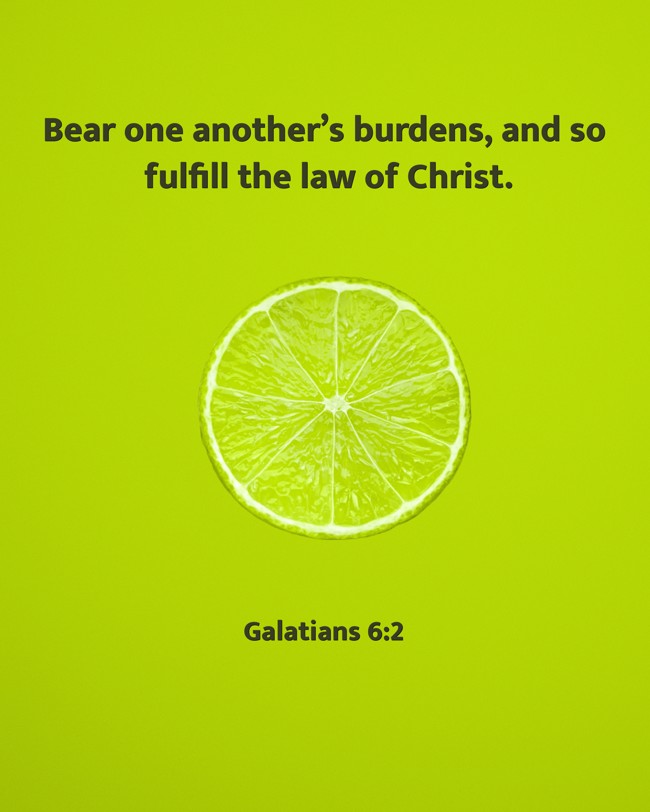 Bear one another’s burdens, and so fulfill the law of Christ. - Galatians 6:2