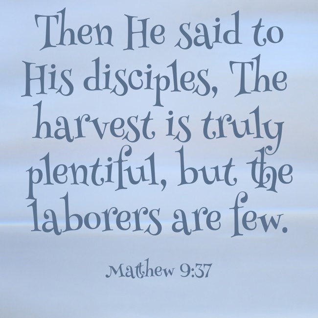 Then He said to His disciples, The harvest is truly plentiful, but the laborers are few. - Matthew 9:37