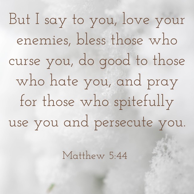 But I say to you, love your enemies, bless those who curse you, do good to those who hate you, and pray for those who spitefully use you and persecute you. - Matthew 5:44