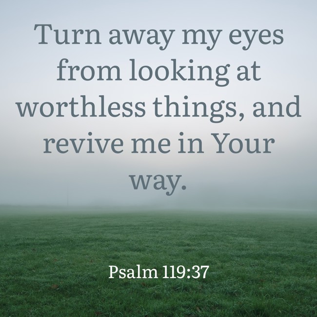 Turn away my eyes from looking at worthless things, and revive me in Your way. - Psalm 119:37