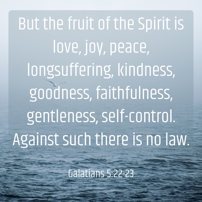 But the fruit of the Spirit is love, joy, peace, longsuffering, kindness, goodness, faithfulness, gentleness, self-control. Against such there is no law. - Galatians 5:22-23