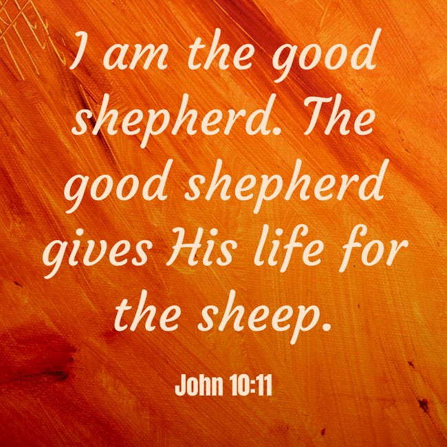 I am the good shepherd. The good shepherd gives His life for the sheep. - John 10:11