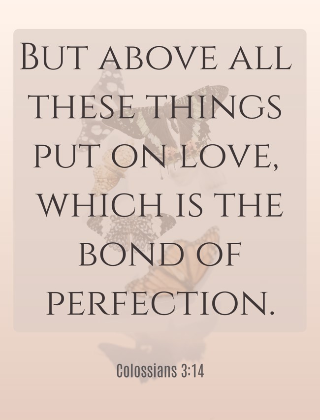 But above all these things put on love, which is the bond of perfection. - Colossians 3:14