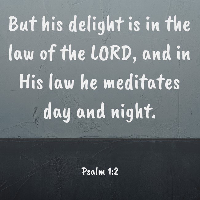 But his delight is in the law of the LORD, and in His law he meditates day and night. - Psalm 1:2