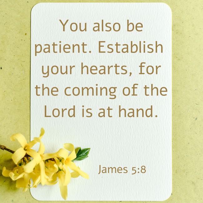 You also be patient. Establish your hearts, for the coming of the Lord is at hand. - James 5:8