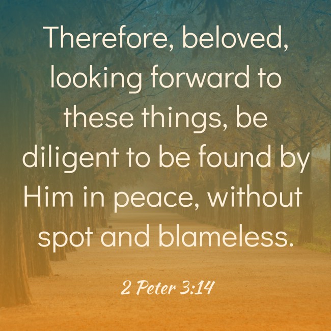 Therefore, beloved, looking forward to these things, be diligent to be found by Him in peace, without spot and blameless. - 2 Peter 3:14