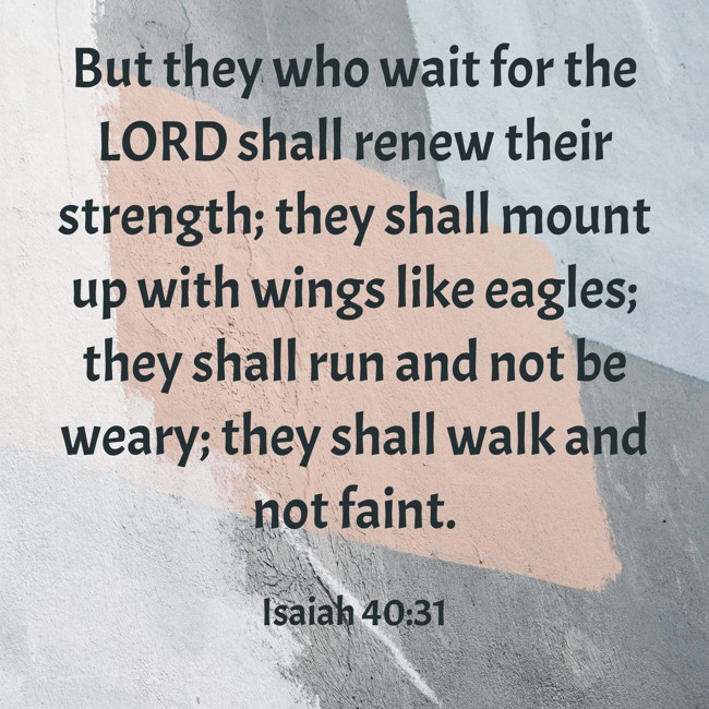 But they who wait for the LORD shall renew their strength; they shall mount up with wings like eagles; they shall run and not be weary; they shall walk and not faint. - Isaiah 40:31