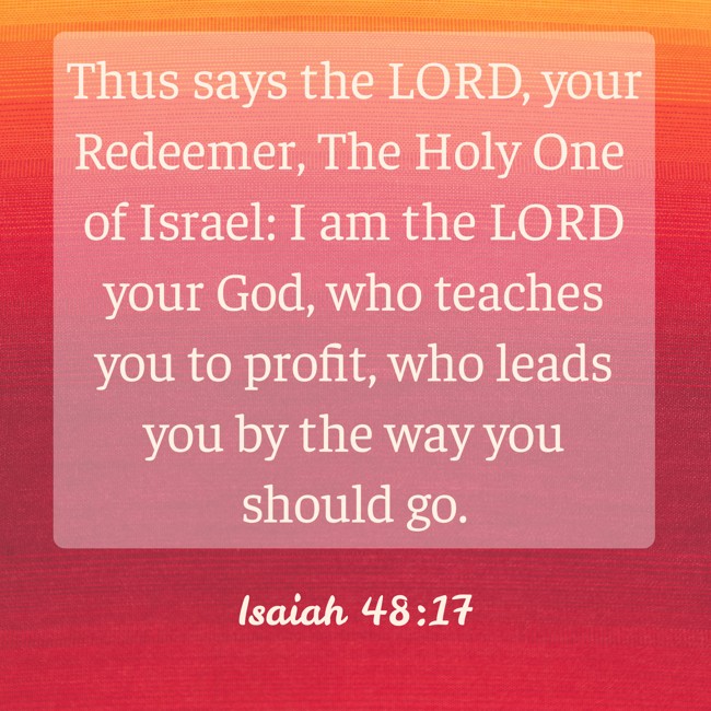 Thus says the LORD, your Redeemer, The Holy One of Israel: I am the LORD your God, who teaches you to profit, who leads you by the way you should go. - Isaiah 48:17